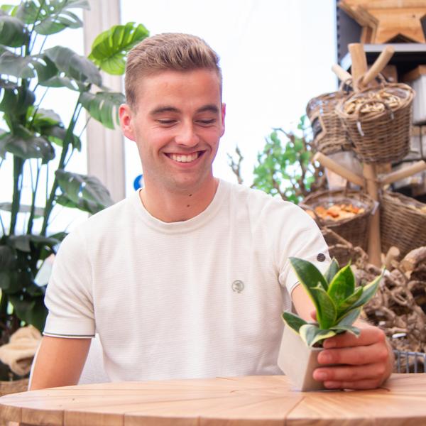 Sansevieria | Beterschap