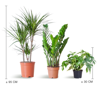 Schaduw Plantenbox - medium - zonder sierpot