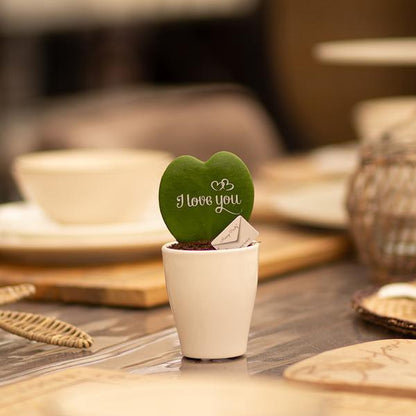 Hoya (Heartplant) | I love you